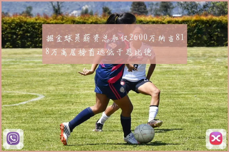 掘金球员薪资总和仅2600万纳吉818万高居榜首远低于恩比德
