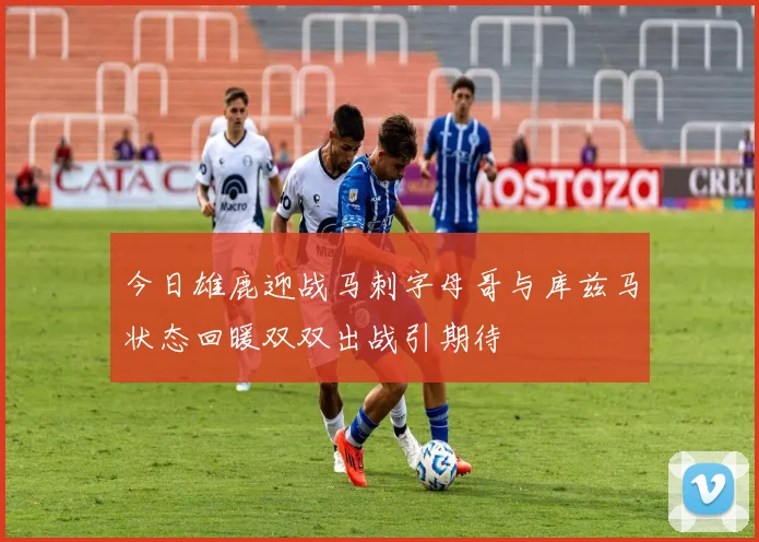 今日雄鹿迎战马刺字母哥与库兹马状态回暖双双出战引期待