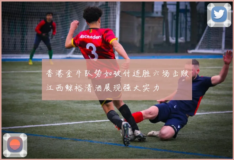 香港金牛队势如破竹连胜六场击败江西鲸裕清酒展现强大实力