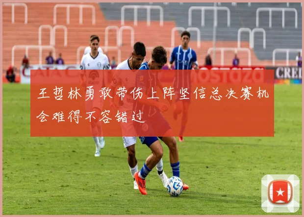 王哲林勇敢带伤上阵坚信总决赛机会难得不容错过